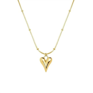 Women’s Stainless Steel Heart Pendant Necklace | Trendiva